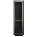 "AREKA" Витрина REG 1W 56