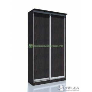 Шкаф-купе НМ 013.59 2ЛДСП