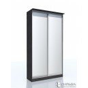 Шкаф-купе НМ 013.59 2Z