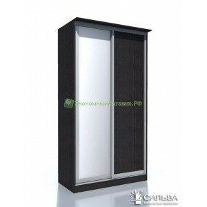 Шкаф-купе НМ 013.59-01 1Z + 1ЛДСП