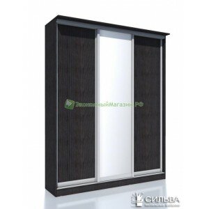 Шкаф-купе НМ 013.60-01 1Z + 2ЛДСП