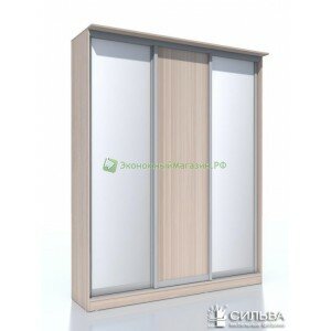 Шкаф-купе НМ 013.60-01 2Z + 1ЛДСП