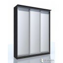 Шкаф-купе НМ 013.60-01 3Z