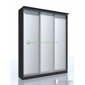 Шкаф-купе НМ 013.60-01 3Z