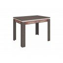 Стол обеденный Орфей 19.10